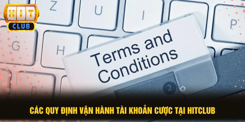 Các quy định vận hành tài khoản cược tại HITCLUB