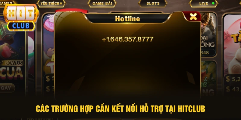 Các trường hợp cần kết nối hỗ trợ tại HITCLUB