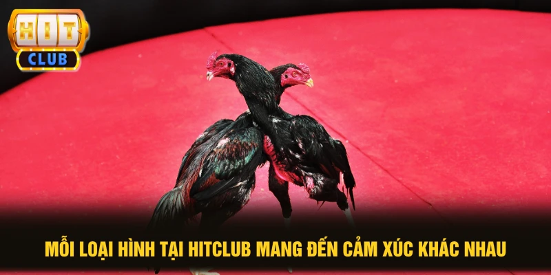 Mỗi loại hình tại HITCLUB mang đến cảm xúc khác nhau