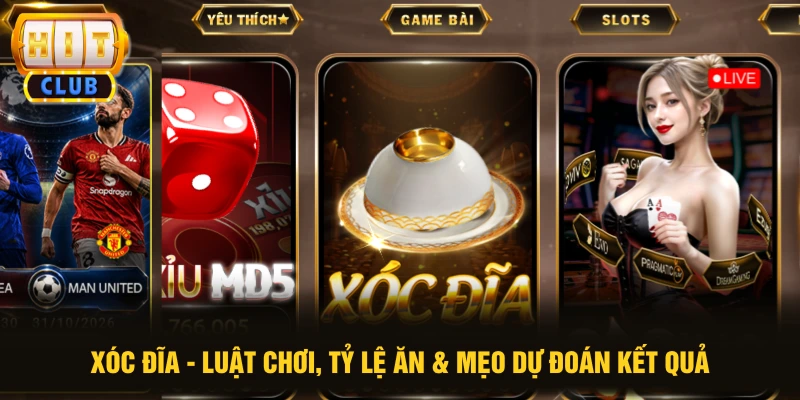 Xóc Đĩa - Luật Chơi, Tỷ Lệ Ăn & Mẹo Dự Đoán Kết Quả